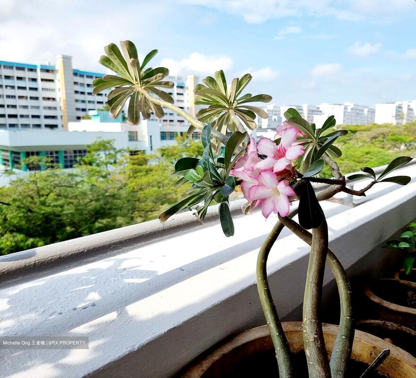 Blk 145 Yishun Street 11 (Yishun), HDB 3 Rooms #580192941